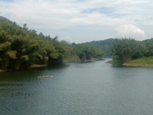 Jeep Safari in Thekkady, Thekkady Jeep Safari, Jungle Jeep Safari Thekkady, Tour Packages in Thekkady, Sightseeing Packages in Thekkady, Car Rentals in Thekkady