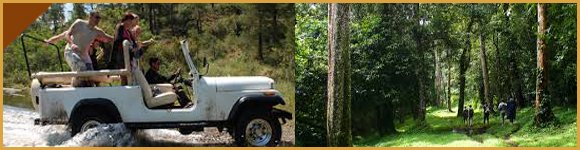 Jeep Safari in Thekkady, Thekkady Jeep Safari, Jungle Jeep Safari Thekkady, Tour Packages in Thekkady, Sightseeing Packages in Thekkady, Car Rentals in Thekkady