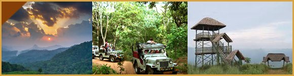 Jeep Safari in Thekkady, Thekkady Jeep Safari, Jungle Jeep Safari Thekkady, Tour Packages in Thekkady, Sightseeing Packages in Thekkady, Car Rentals in Thekkady