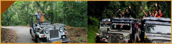 Jeep Safari in Thekkady, Thekkady Jeep Safari, Jungle Jeep Safari Thekkady, Tour Packages in Thekkady, Sightseeing Packages in Thekkady, Car Rentals in Thekkady