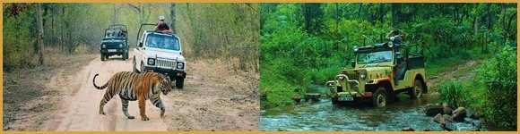 Jeep Safari in Thekkady, Thekkady Jeep Safari, Jungle Jeep Safari Thekkady, Tour Packages in Thekkady, Sightseeing Packages in Thekkady, Car Rentals in Thekkady